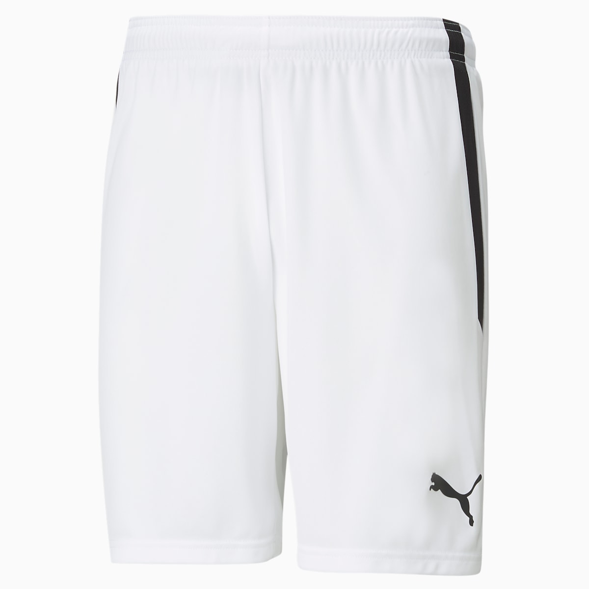 teamLIGA Men's Football Shorts
