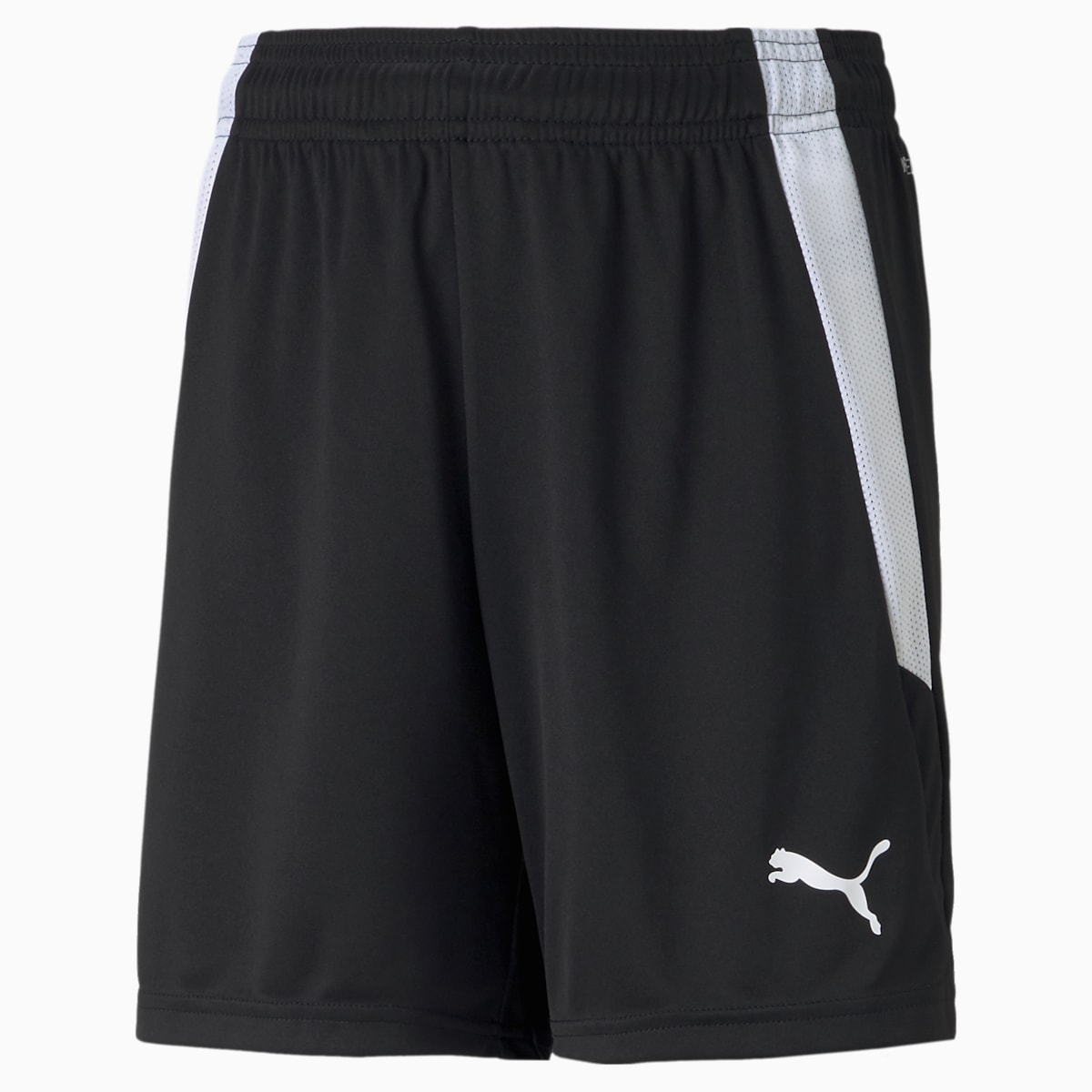 teamLIGA Youth Football Shorts