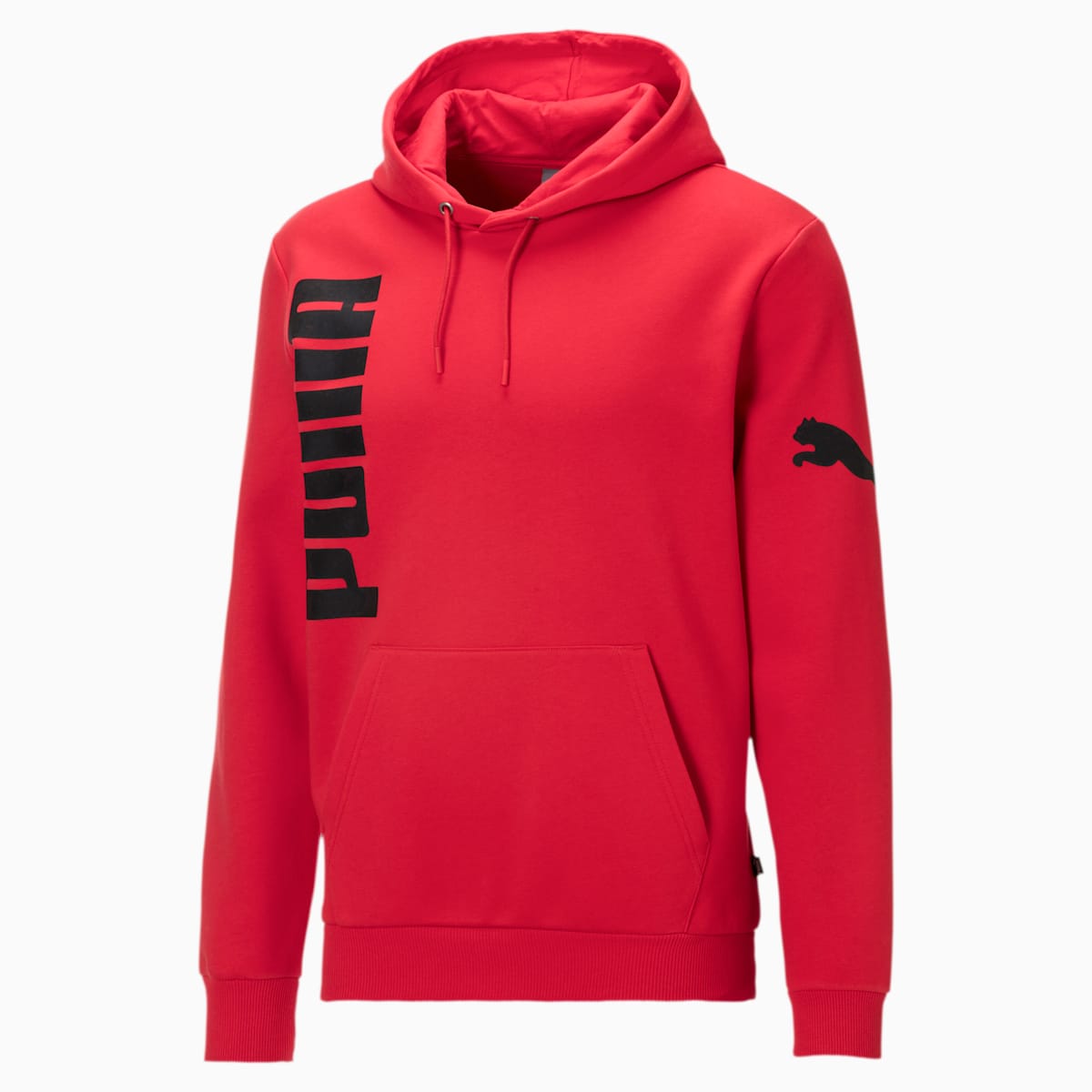 Big Logo Fleece Men's Hoodie