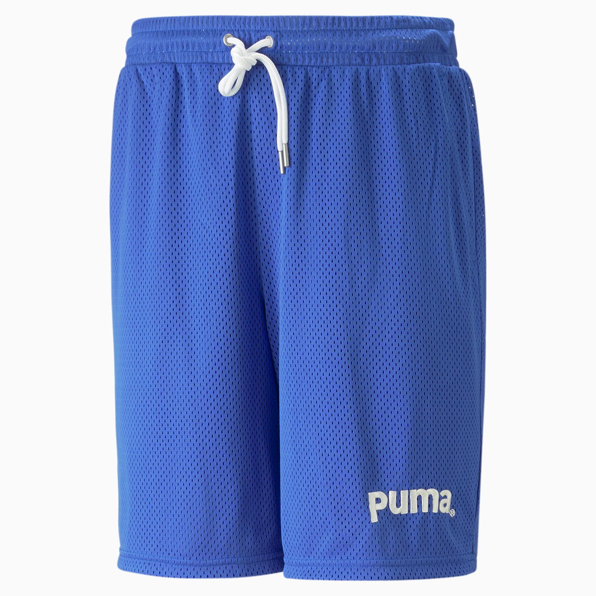 PUMA Team 8 Mesh Shorts Men, Royal Blue, Size XL, Clothing