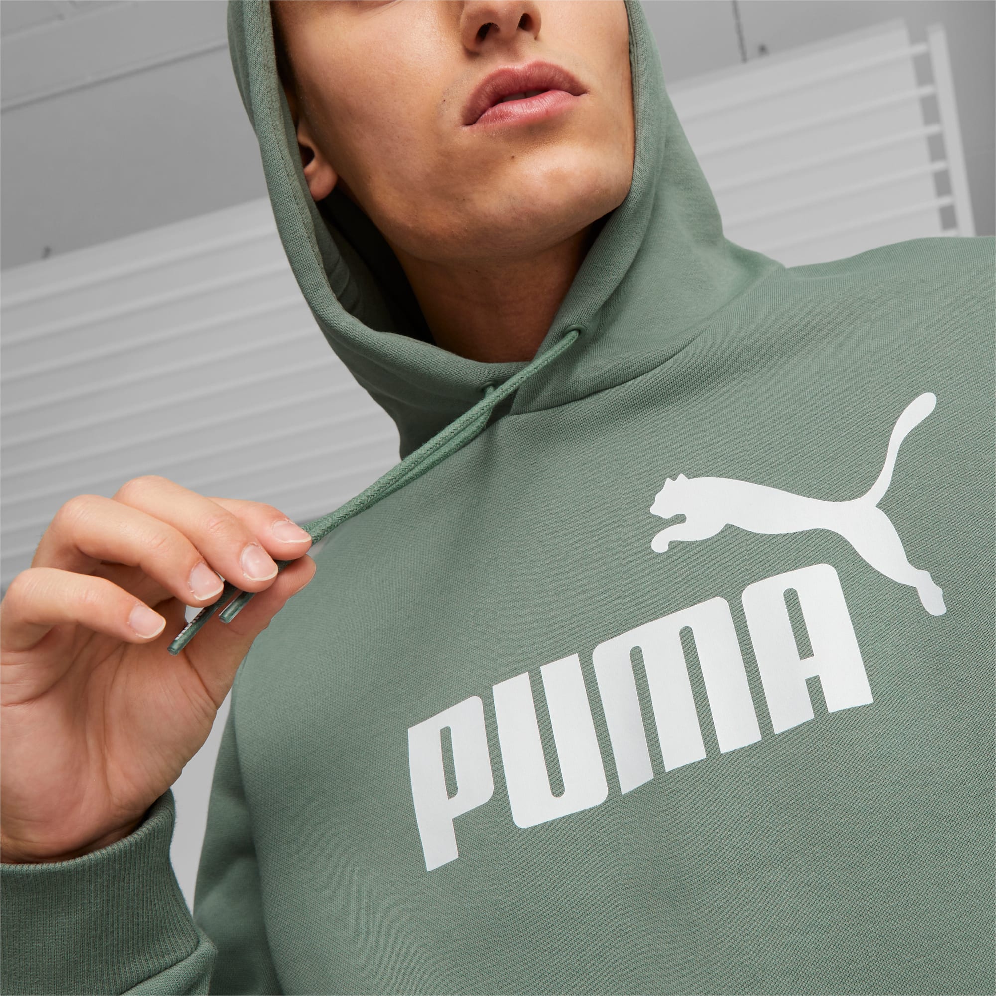 PUMA Essentials Big Logo Hoodie Men, Eucalyptus, Size XL, Clothing