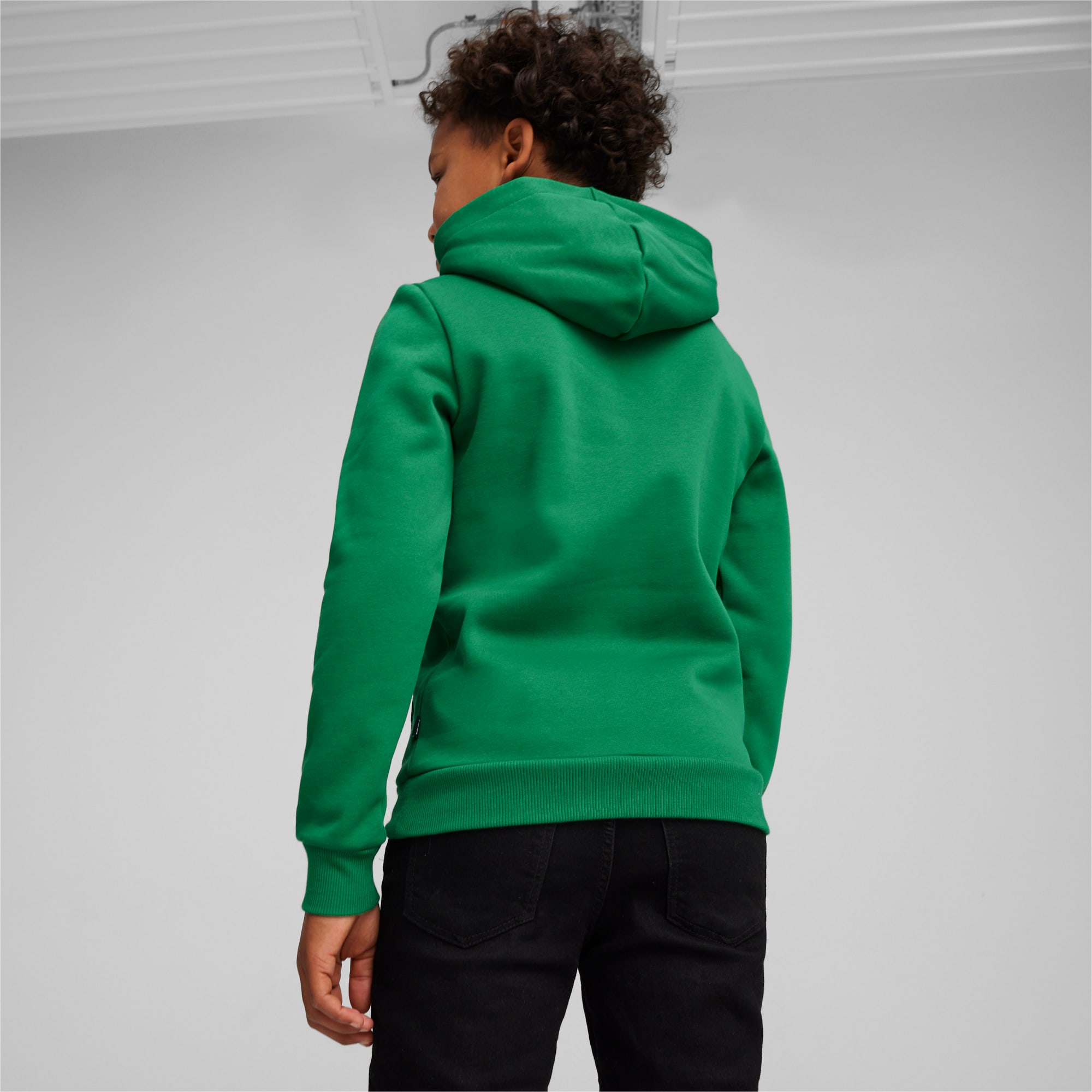 PUMA Essentials+ Two-Tone Big Logo Youth Hoodie, Archive Green, Size 92, Clothing