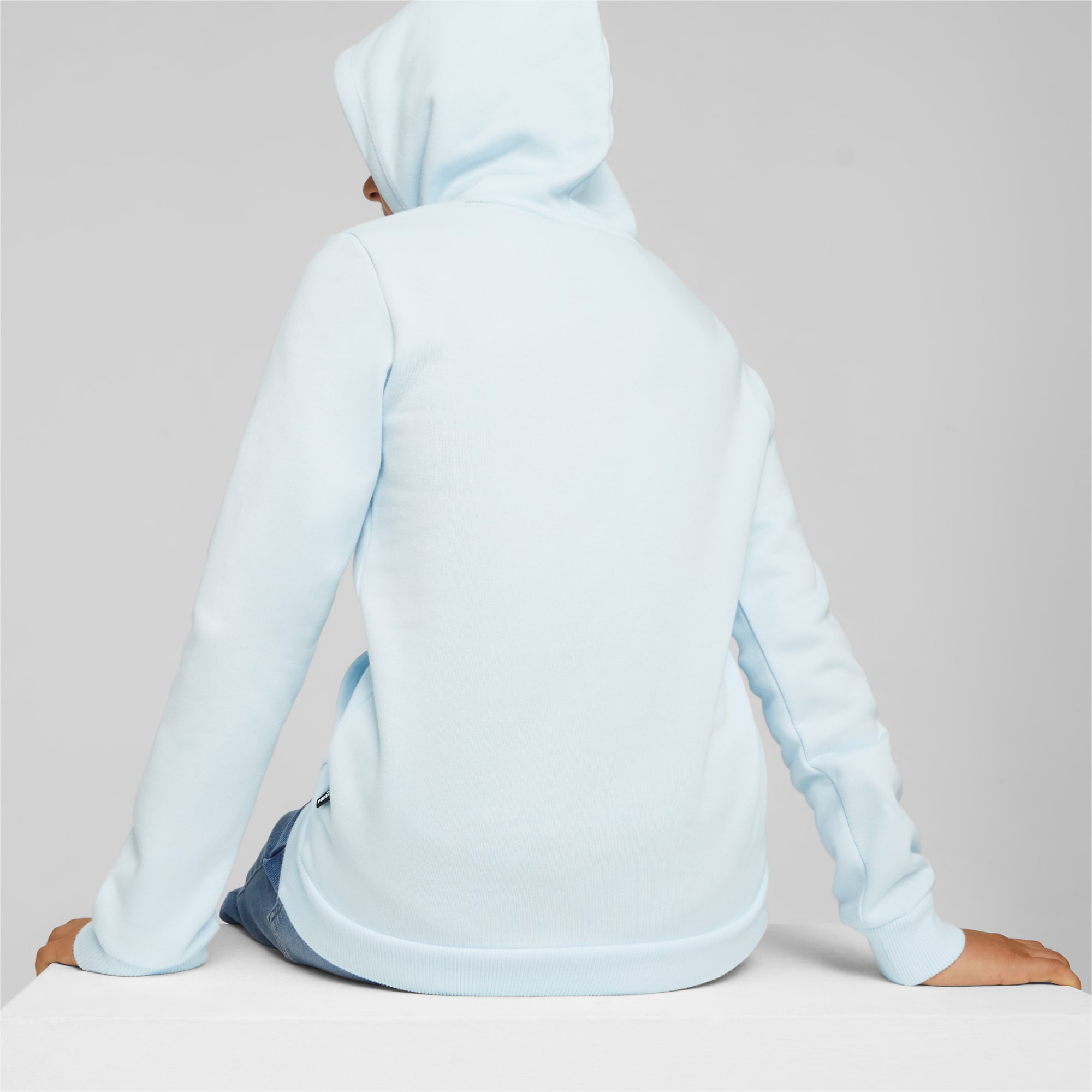 PUMA Essentials Logo Youth Hoodie, Icy Blue, Size 176, Clothing