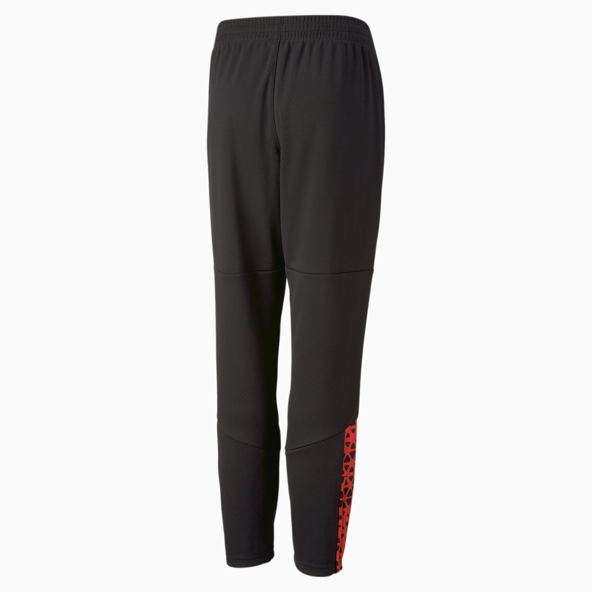 PUMA individualcup training pants 658296-50