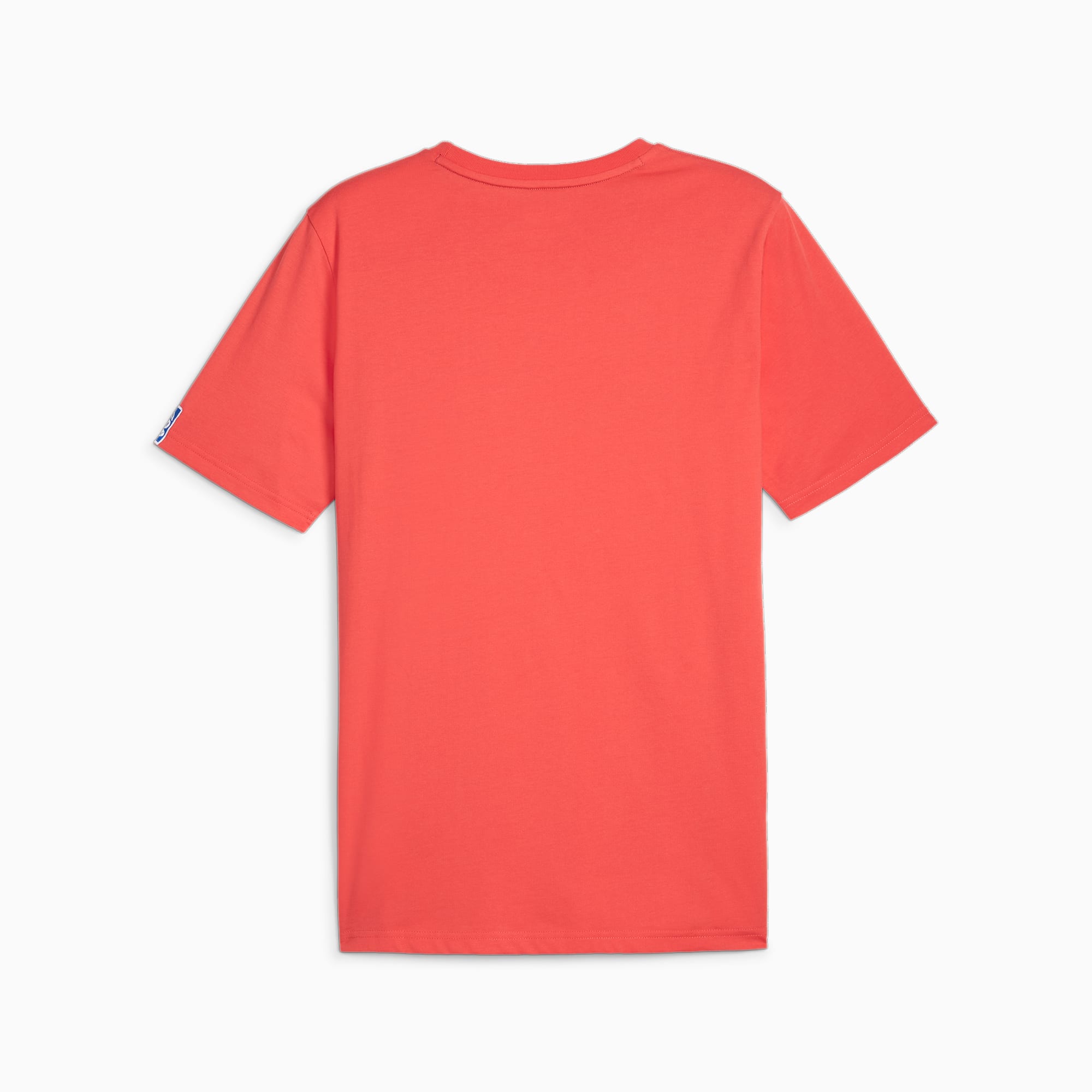 PUMA Handbal-T-shirt, Rood/Bruin