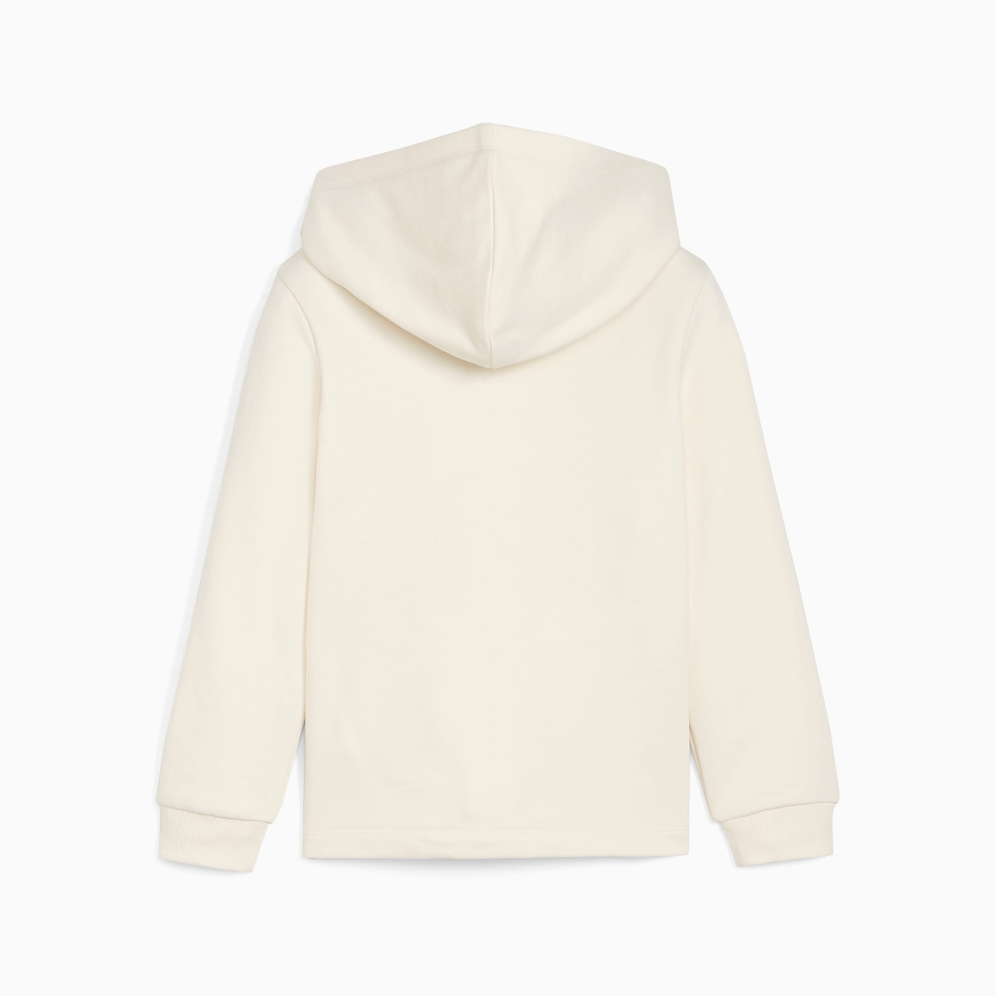 PUMA ESS+ SUMMER CAMP Hoodie met volledige ritssluiting, Rood/Bruin
