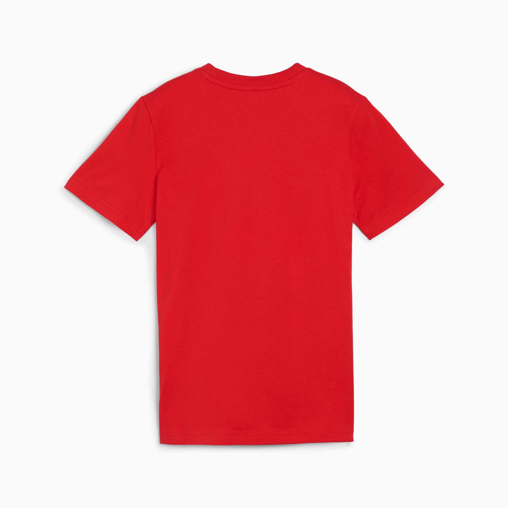 PUMA BASKETBAL BLUEPRINT T-shirt, Rood