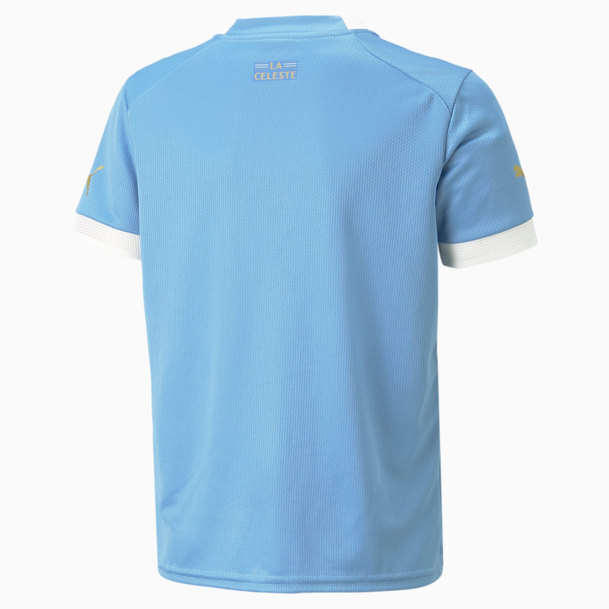 PUMA Uruguay 22/23 Replica thuisshirt, Blauw/Zilver