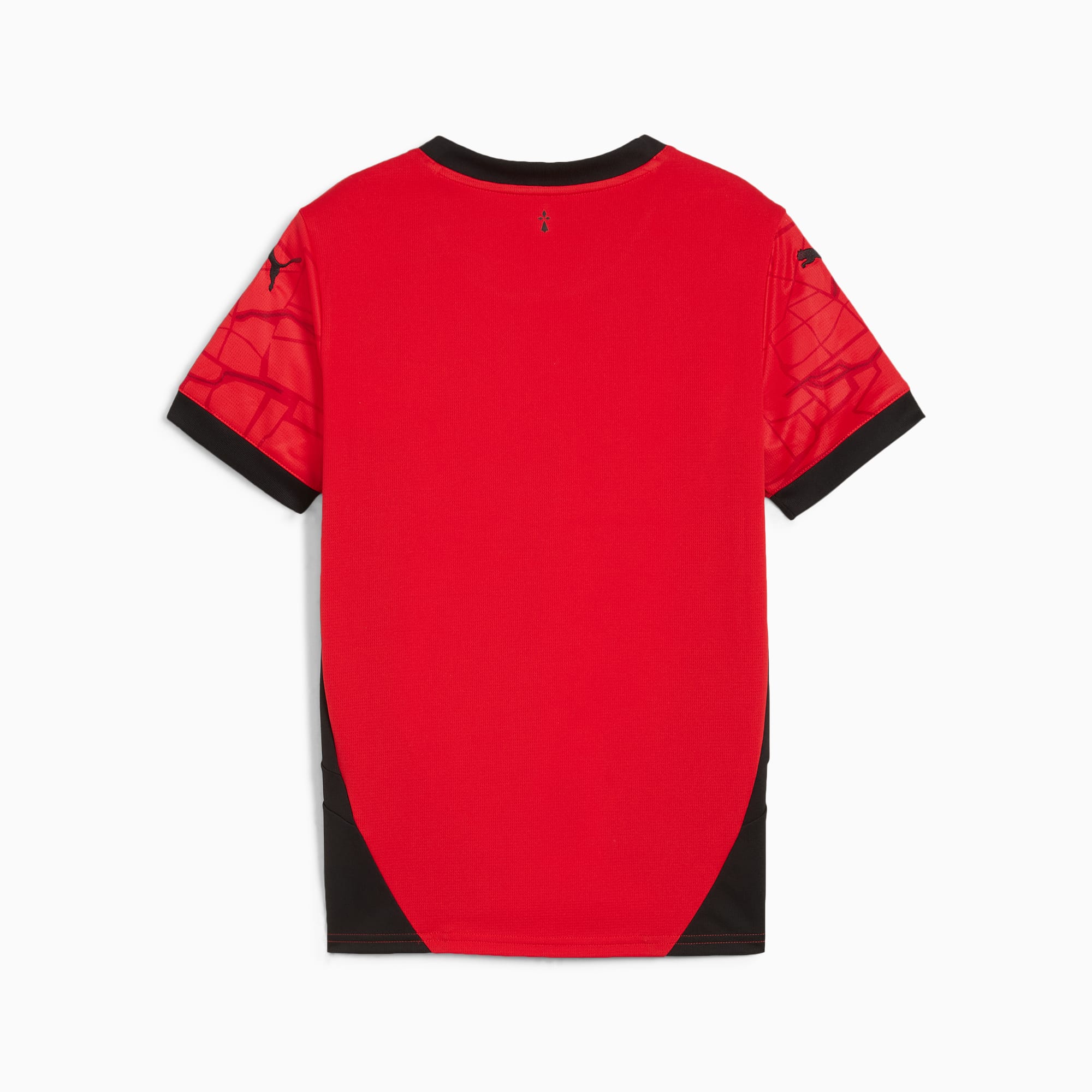 PUMA Stade Rennais F.C. 24/25 thuisshirt, Rood/Zwart