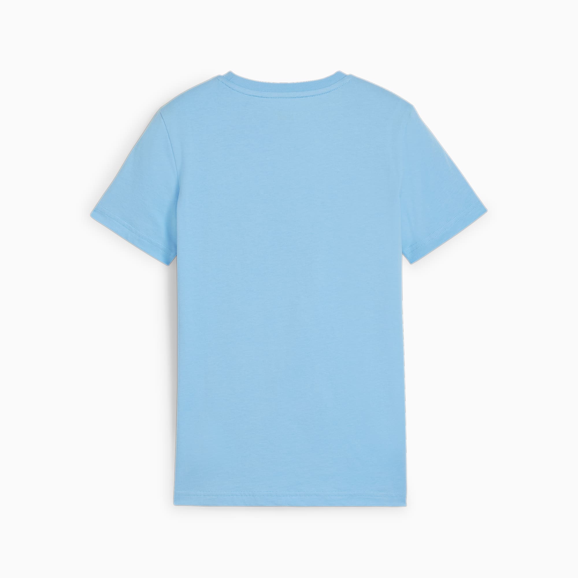 PUMA Manchester City ftblCULTURE T-shirt, Blauw