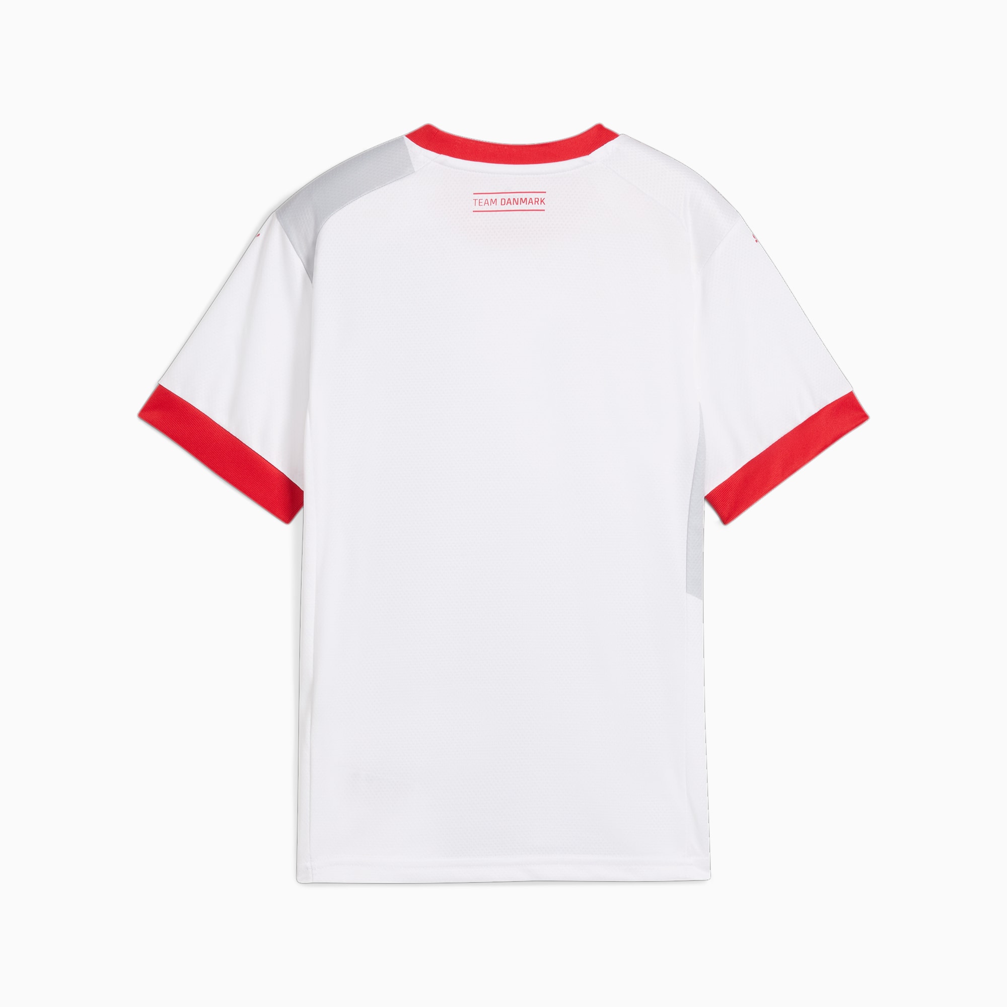 PUMA Deense handbalbond 24/25 uitshirt, Wit/Grijs