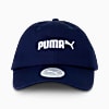 Görüntü Puma ESSENTIALS No. 2 Logo Çocuk Şapka #3