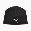 Görüntü Puma PUMA RUN Skull Bere #1