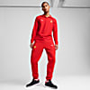 Görüntü Puma Scuderia Ferrari Tiburion Unisex Spor Ayakkabı #3