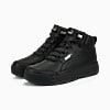 Görüntü Puma Tarrenz SB II Ayakkabı #2