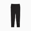 Görüntü Puma RUN VELOCITY Erkek Tapered Pantolon #7