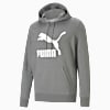 Görüntü Puma CLASSICS Logo Erkek Kapüşonlu Sweatshirt #4