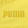 Görüntü Puma ALTERATION Erkek T-Shirt #3