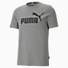Görüntü Puma ESSENTIALS Logo Erkek Tişört #4