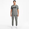Görüntü Puma ESSENTIALS Logo Erkek Tişört #3