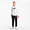Görüntü Puma ESSENTIALS BIG Logo Erkek Kapüşonlu Sweatshirt #3