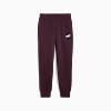 Görüntü Puma Essentials Kadın Eşofman Altı #6