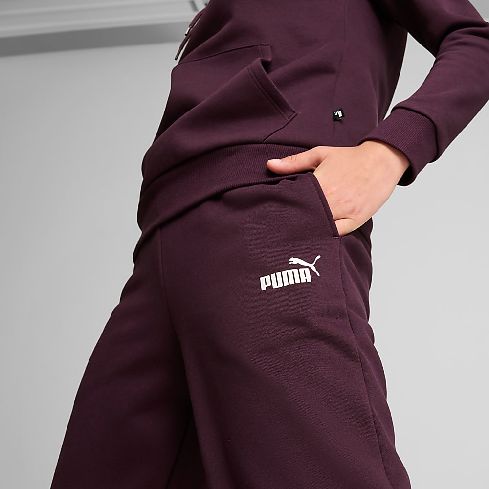 Görüntü Puma Essentials Kadın Eşofman Altı #2