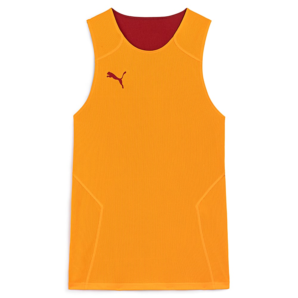 Görüntü Puma Galatasaray Antrenman Çift Taraflı Forma #1