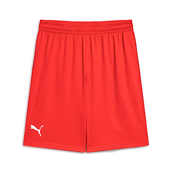 Шорты Puma PUMA Basketbol Antrenman для баскетбола