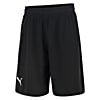 Görüntü Puma PUMA Basketbol Antrenman Şort #1