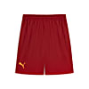 Görüntü Puma Galatasaray Antrenman Şort #1