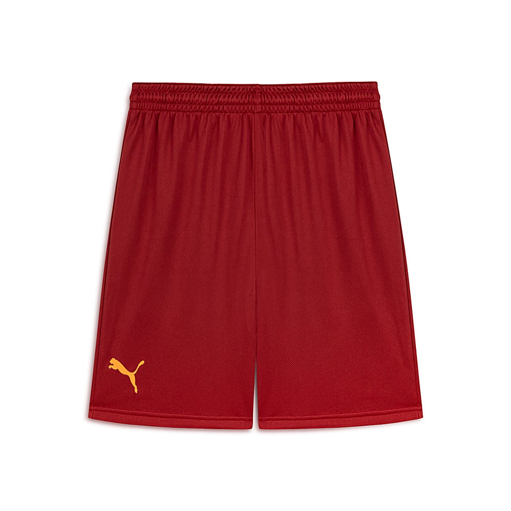 Görüntü Puma Galatasaray Antrenman Şort #1
