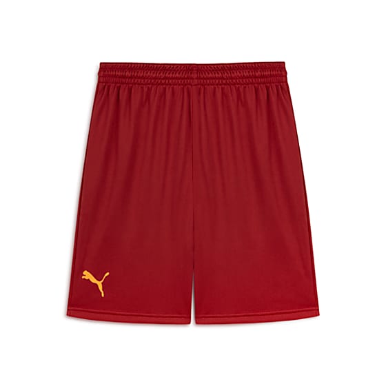 Шорты Puma Galatasaray Antrenman для тренировок