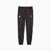 Görüntü Puma SCUDERIA FERRARI Race Erkek Eşofman Altı #6