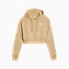 Görüntü Puma CLASSICS Kadın Crop Kapüşonlu Sweatshirt #8