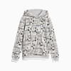 Görüntü Puma Classics FTR Baller Genç Çocuk Kapüşonlu Basketbol Sweatshirt #4