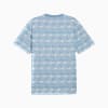 Görüntü Puma PUMA X Palm Tree Crew STRIPED Erkek Tişört #7