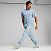 Görüntü Puma PUMA X Palm Tree Crew STRIPED Erkek Tişört #3