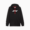 Görüntü Puma F1 Motorsport Logo GRAPHIC Erkek Kapüşonlu SWEATSHIRT #6