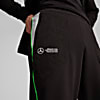 Görüntü Puma Mercedes-AMG Petronas F1® Erkek Eşofman Altı #2