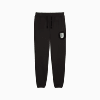 Görüntü Puma SPORTS LEGACY GRAPHIC Erkek Eşofman Altı #6