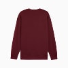 Görüntü Puma WARDROBE ESSENTIALS Erkek Geniş Kesim SWEATSHIRT #5