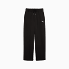 Görüntü Puma Wardrobe ESSENTIALS Kadın Pintuck Eşofman Altı #6