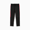Görüntü Puma SCUDERIA FERRARI Race MT7 Erkek Eşofman Altı #7