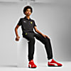 Görüntü Puma SCUDERIA FERRARI Race Genç Pantolon #2