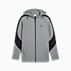 Görüntü Puma EVOSTRIPE Core Erkek Kapüşonlu Ceket #1
