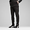 Görüntü Puma Erkek Evostripe Core Pantolon #1