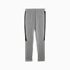 Görüntü Puma Erkek Evostripe Core Pantolon #7