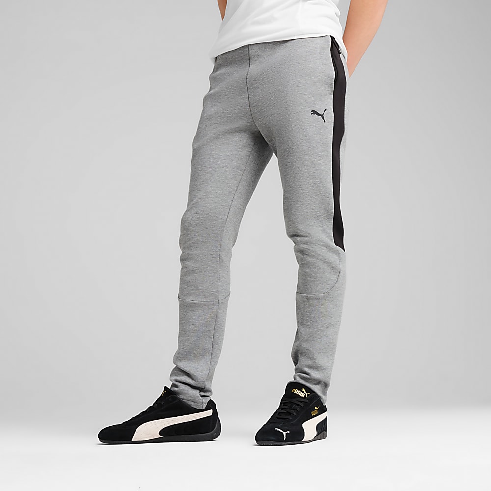 Görüntü Puma Erkek Evostripe Core Pantolon #1