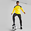 Görüntü Puma teamCUP Football Erkek Antrenman Ceketi #5